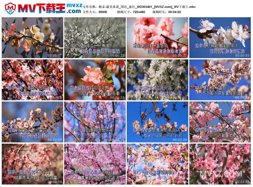 梅朵-最美承诺_国语_流行_MD303401